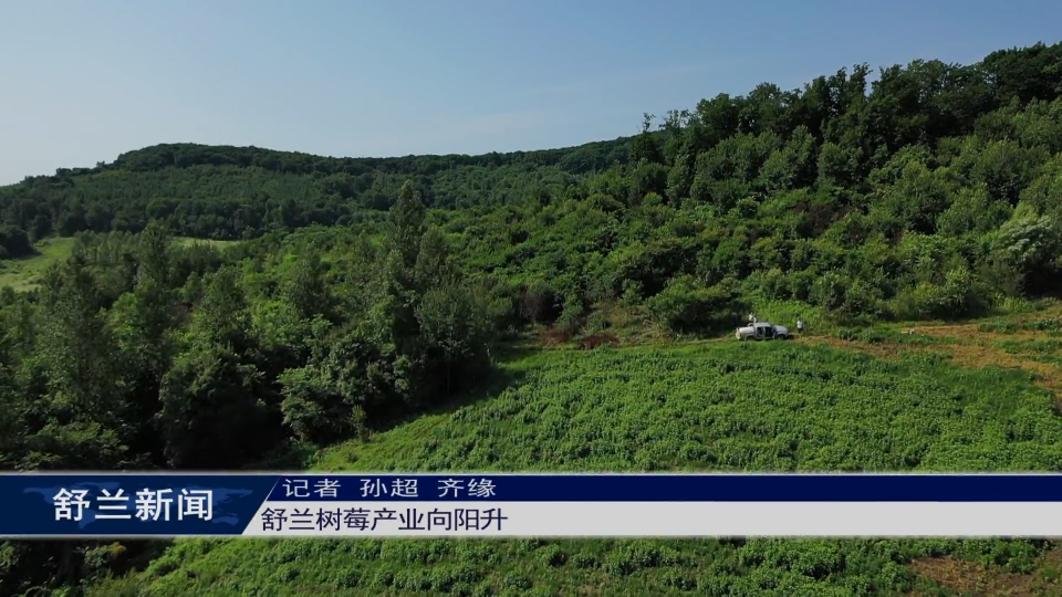 舒兰树莓产业向阳升