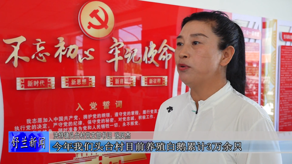 新舒兰·新乡村丨法特镇：白鹅产业绘就振兴新图景