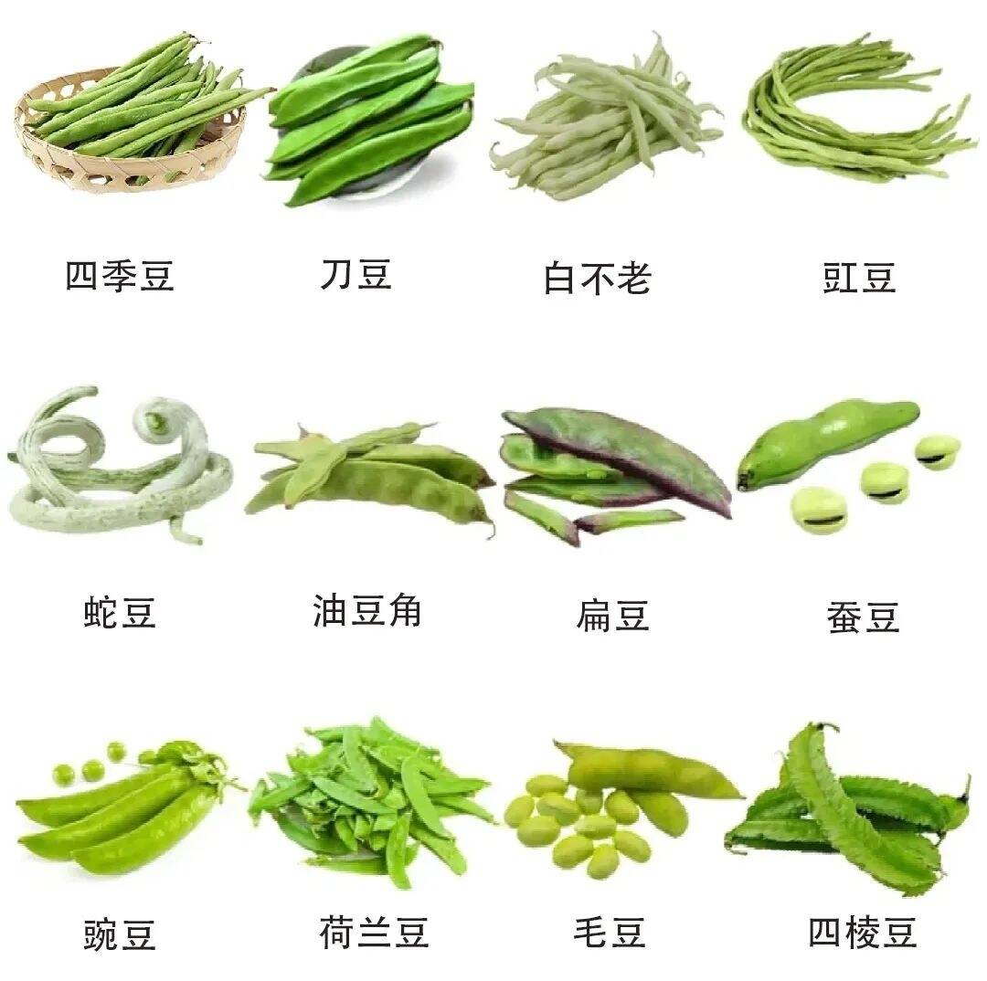高钙、高钾、高纤维！夏天餐桌上的“三高蔬菜”