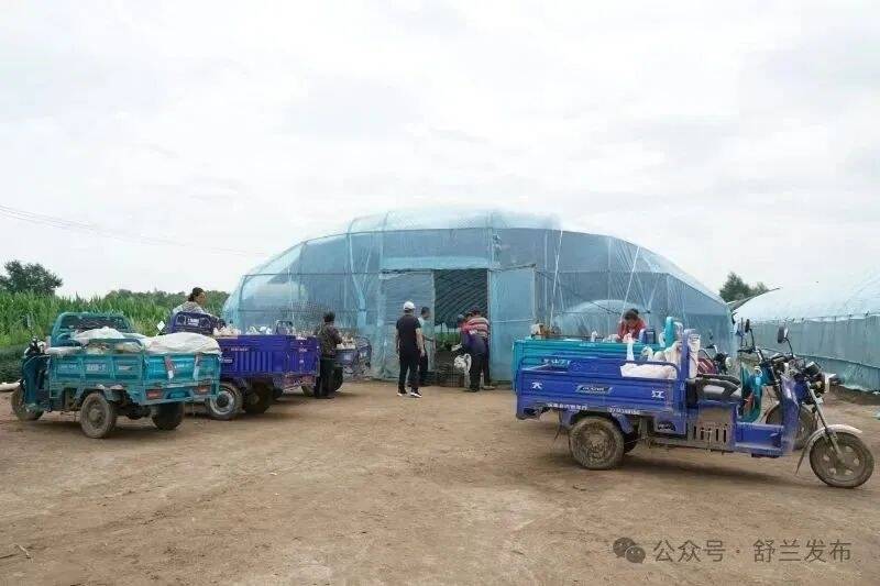 舒兰天德：政企携手拓富路 爱心白鹅助增收