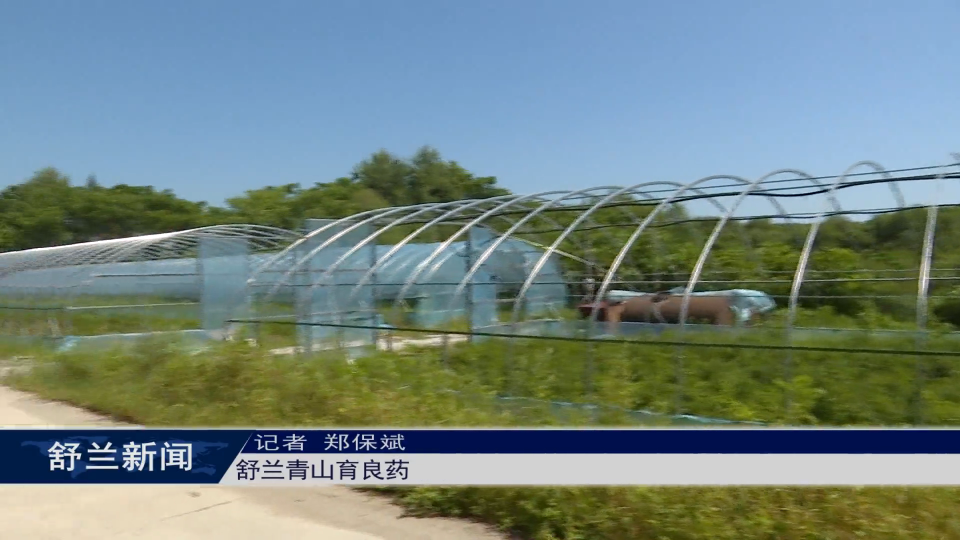 舒兰青山育良药