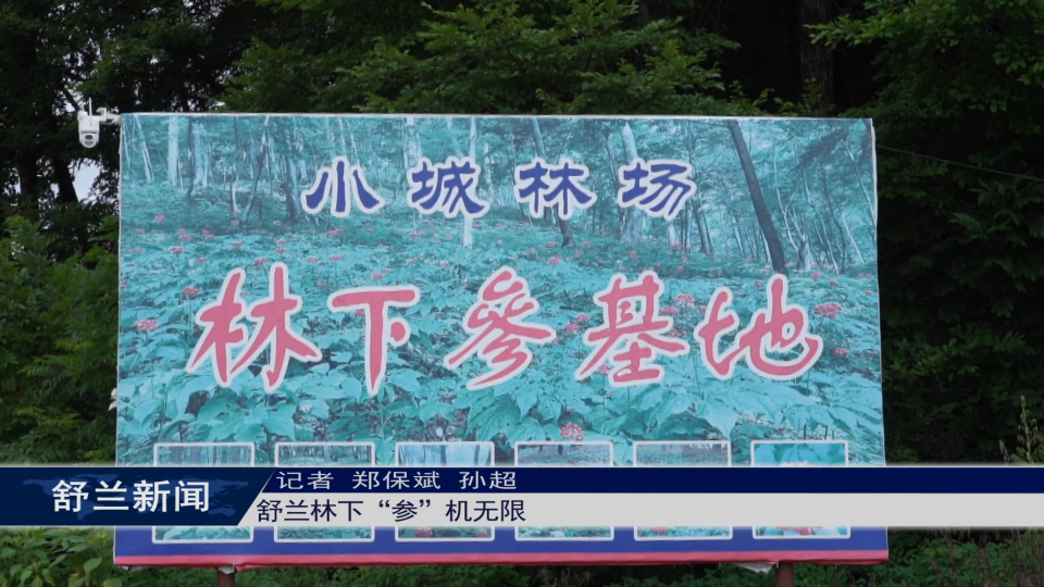 舒兰林下“参”机无限