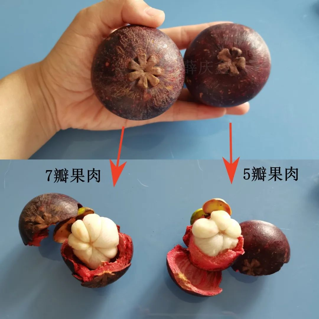 夏天最萌的水果！虽然好吃但营养一般，热量还很高……