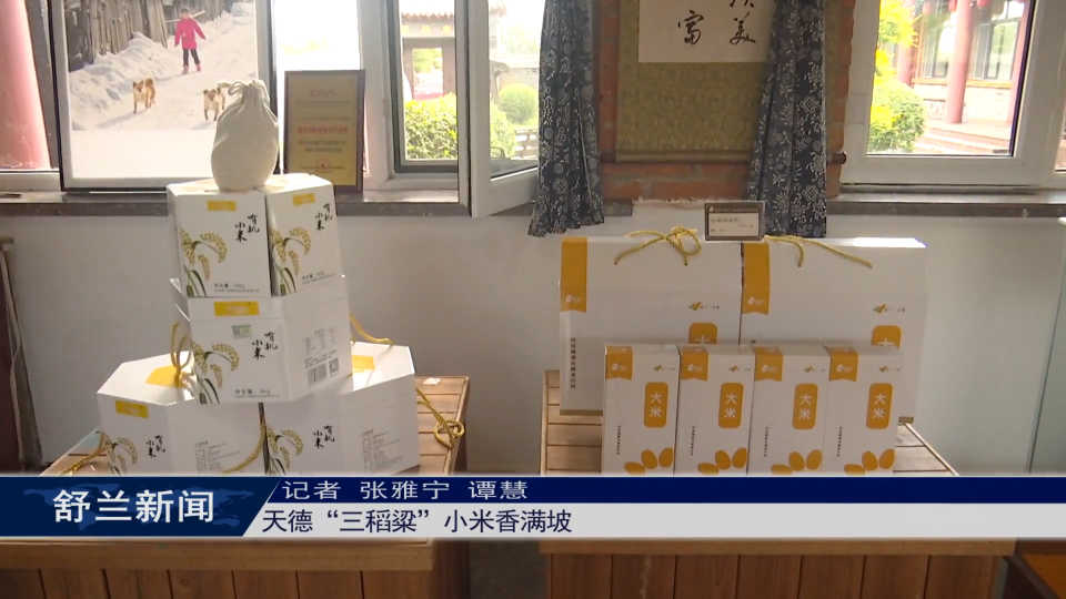 新舒兰·新乡村丨天德“三稻粱”小米香满坡
