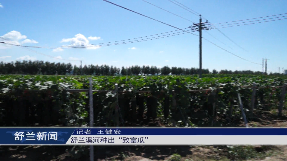 舒兰溪河种出“致富瓜”