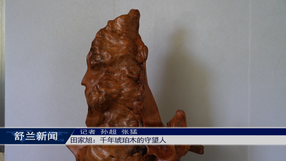 新舒兰·匠心录 | 田家旭：千年琥珀木的守望人