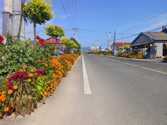 舒兰新安：“花香路”扮靓美丽乡村