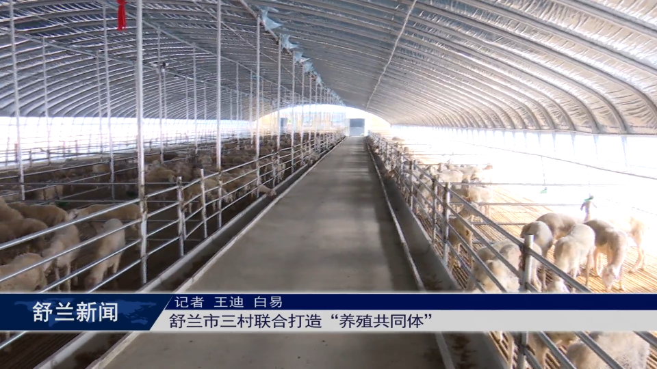 舒兰市三村联合打造“养殖共同体”