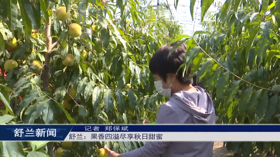 舒兰：果香四溢尽享秋日甜蜜
