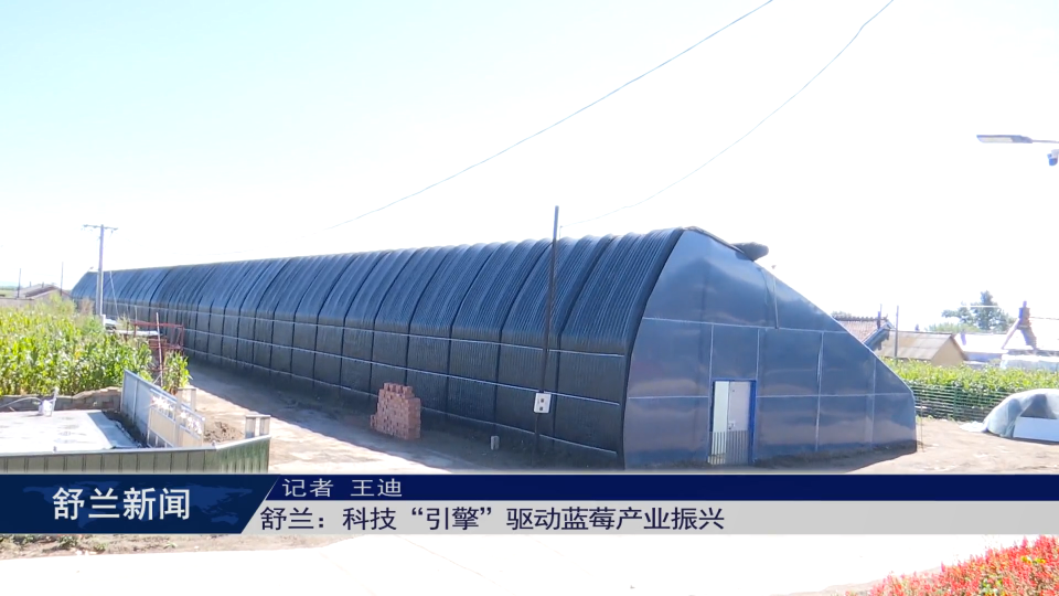 舒兰：科技“引擎”驱动蓝莓产业振兴