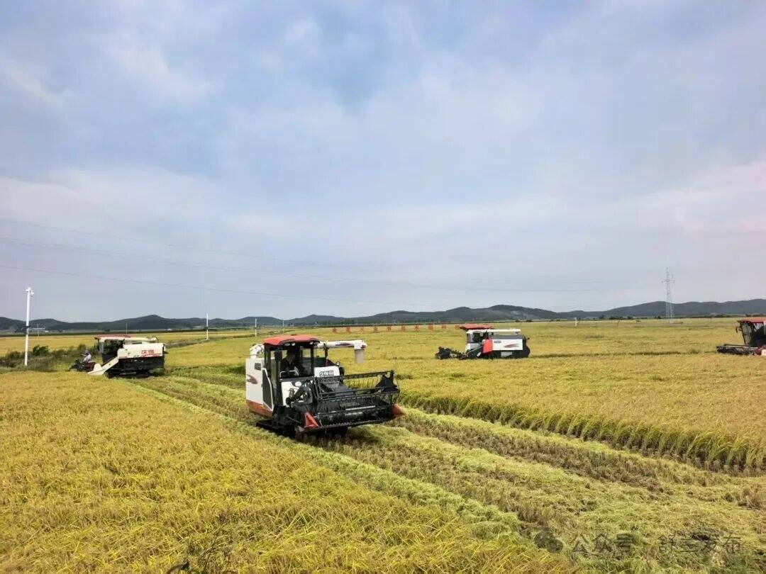 生态科技双驱动 &zwnj;舒兰金星米业喜丰收