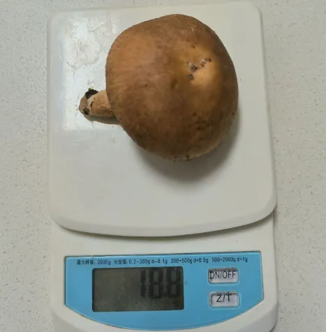 每天吃18克！它有助于延缓大脑衰老、防癌&rarr;