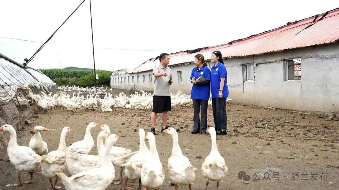 科技+人才 舒兰白鹅科技小院助产业跃升