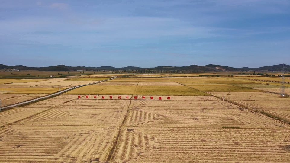 生态科技双驱动 &zwnj;舒兰金星米业喜丰收 &zwnj;