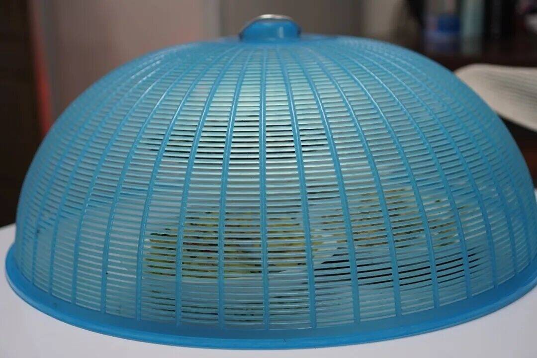 看似干净，但细菌超标的4种食物！吃错小心进医院