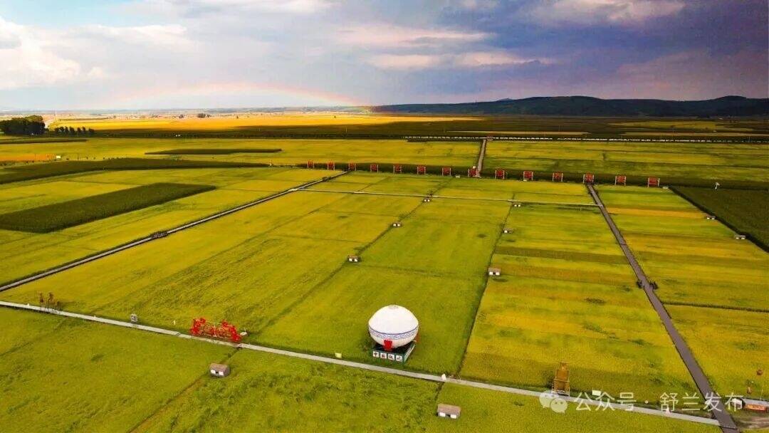 &ldquo;一粒米&rdquo;撬动&ldquo;大产业&rdquo;&mdash;&mdash;舒兰大米的现代农业答卷