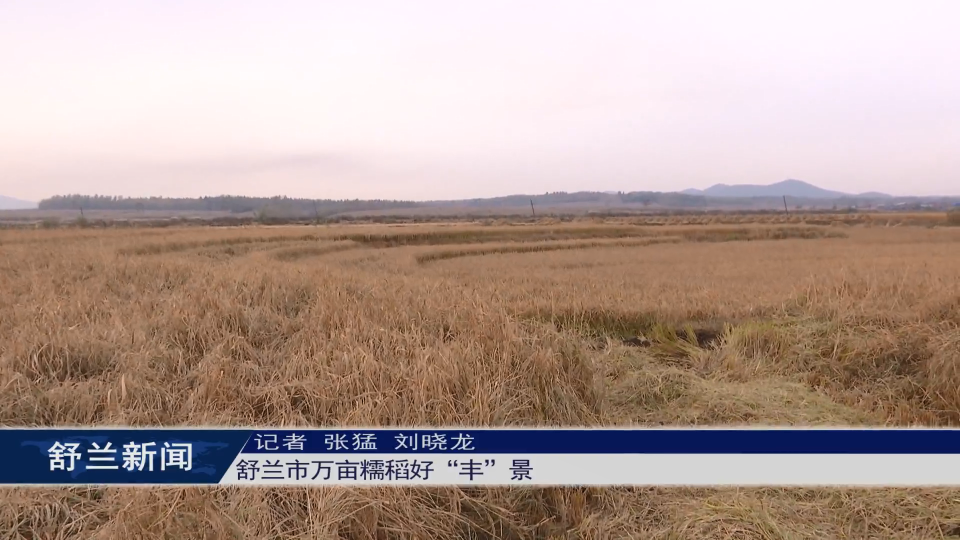 舒兰市万亩糯稻好&ldquo;丰&rdquo;景