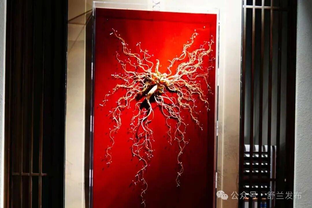 舒兰打造原生野山参文化新地标