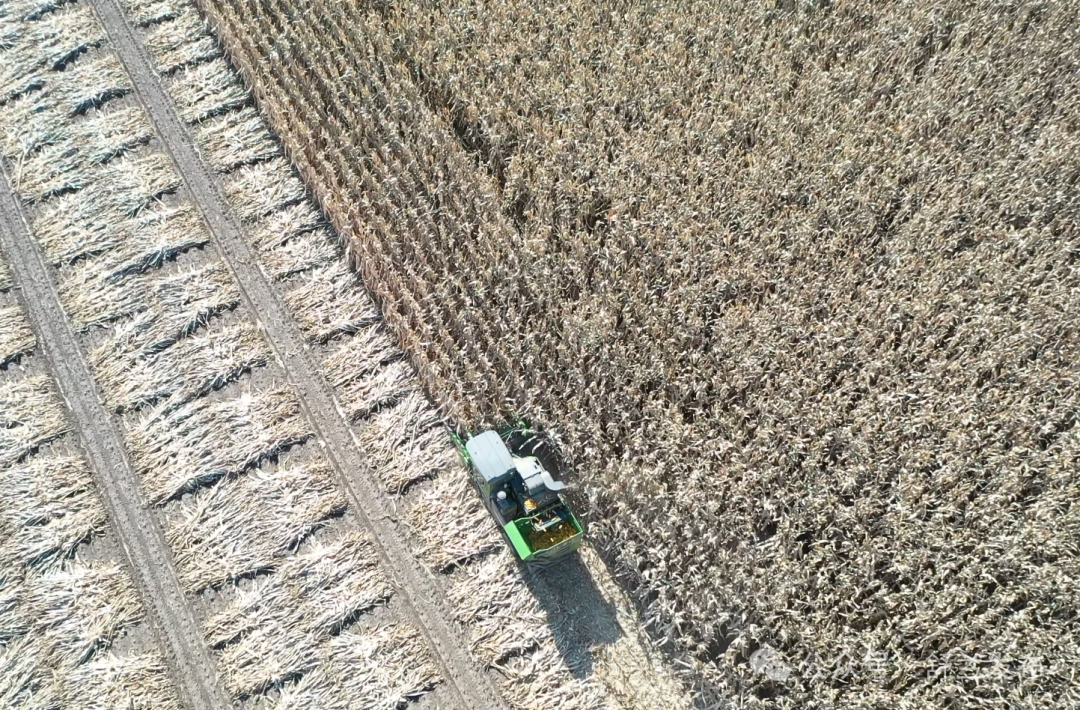 舒兰市以保护性耕作为引擎 焕发黑土新生