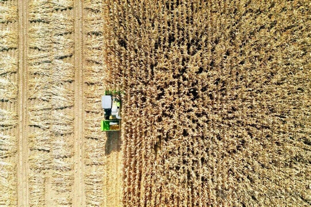 舒兰：农民变&ldquo;掌柜&rdquo; 省心又增收