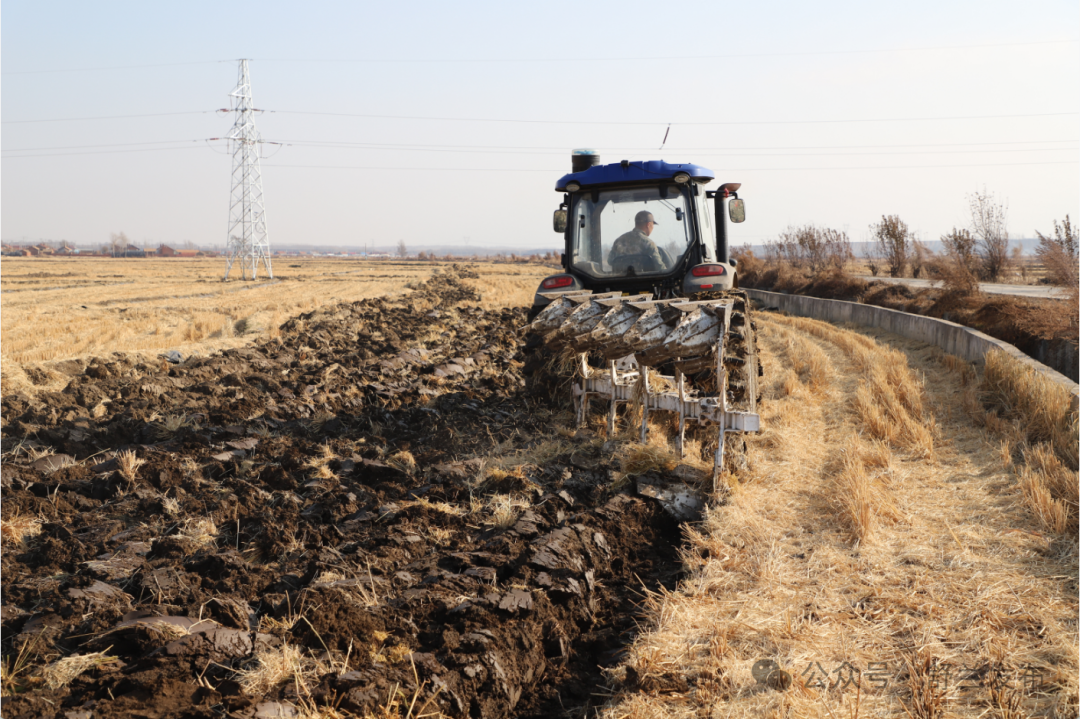 舒兰：农机轰鸣&ldquo;碎&rdquo;秸秆 沃土还田&ldquo;孕&rdquo;新苗