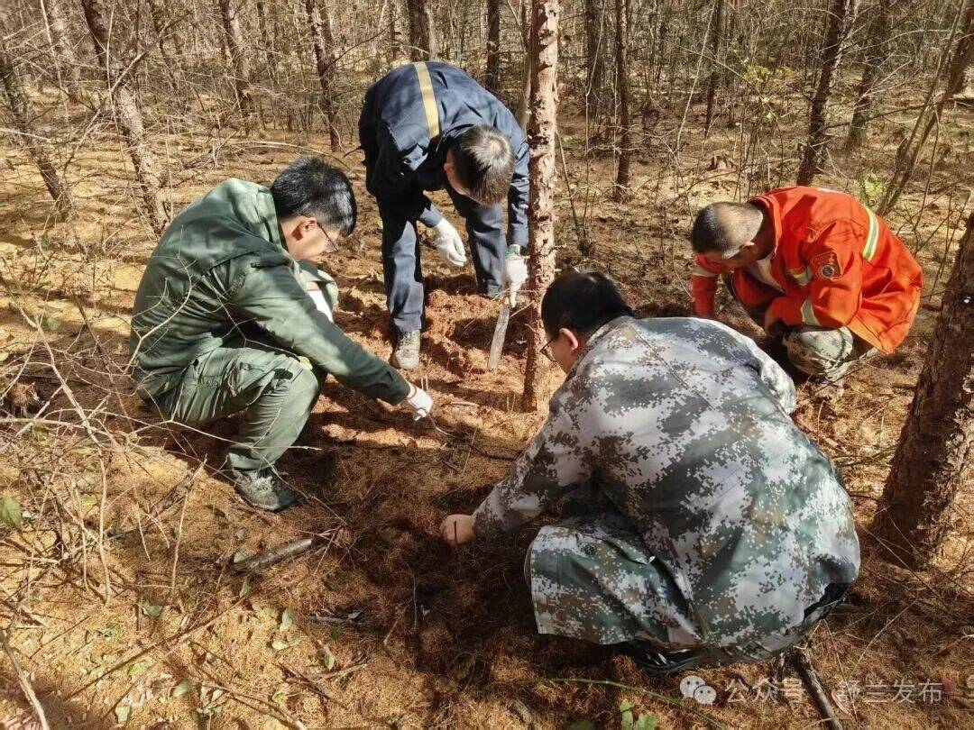 舒兰市筑牢森林生态安全防线
