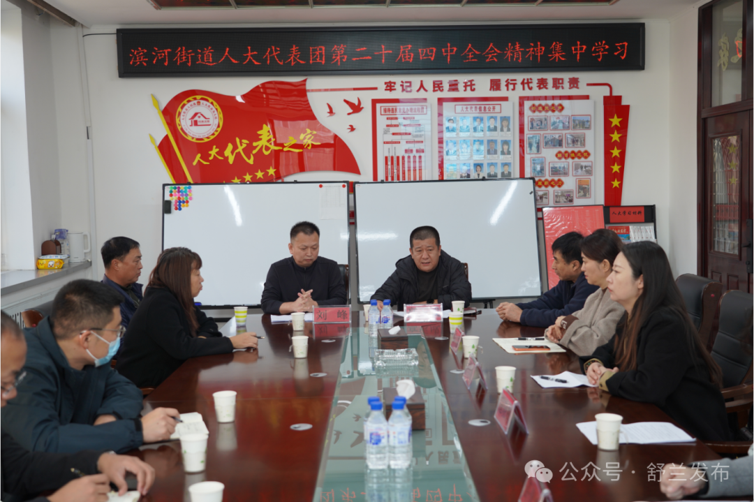 舒兰滨河：人大代表履职尽责 推动党的二十届四中全会精神落地