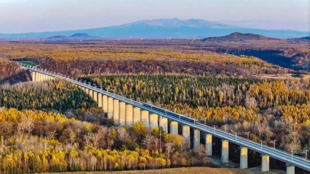 12306购票&ldquo;价格最低&rdquo;，能有多低？