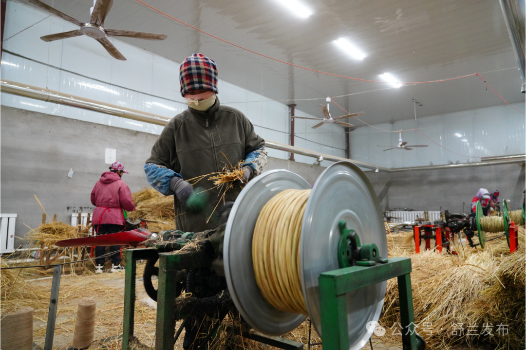 舒兰水曲柳：稻草变身&ldquo;黄金绳&rdquo;