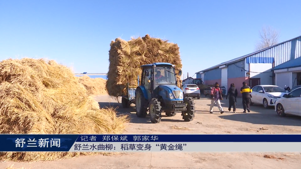 舒兰水曲柳：稻草变身&ldquo;黄金绳&rdquo;