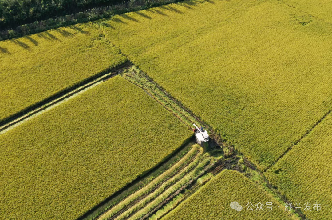 农业产业化省级重点龙头企业，舒兰+2！