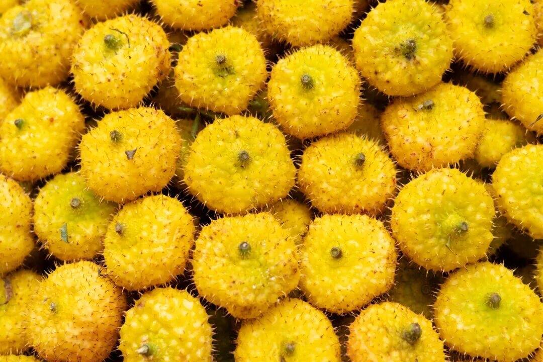 水果界的维C天花板！维C含量是橙子的78倍！可惜很多人不知道