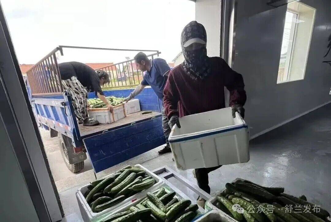 舒兰市兴山村蔬菜加工&ldquo;就地增值&rdquo;