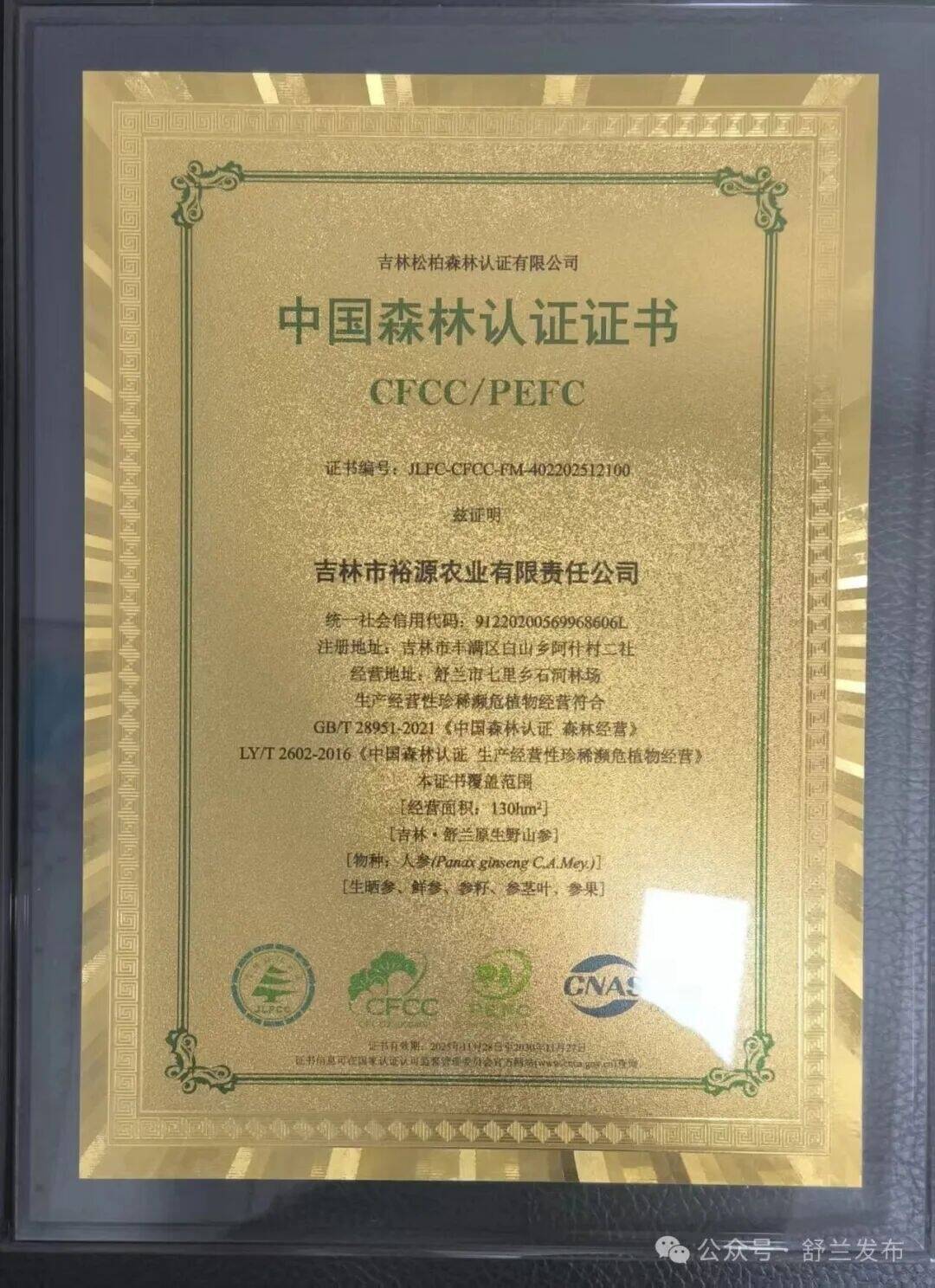 舒兰原生野山参企业获中国森林认证