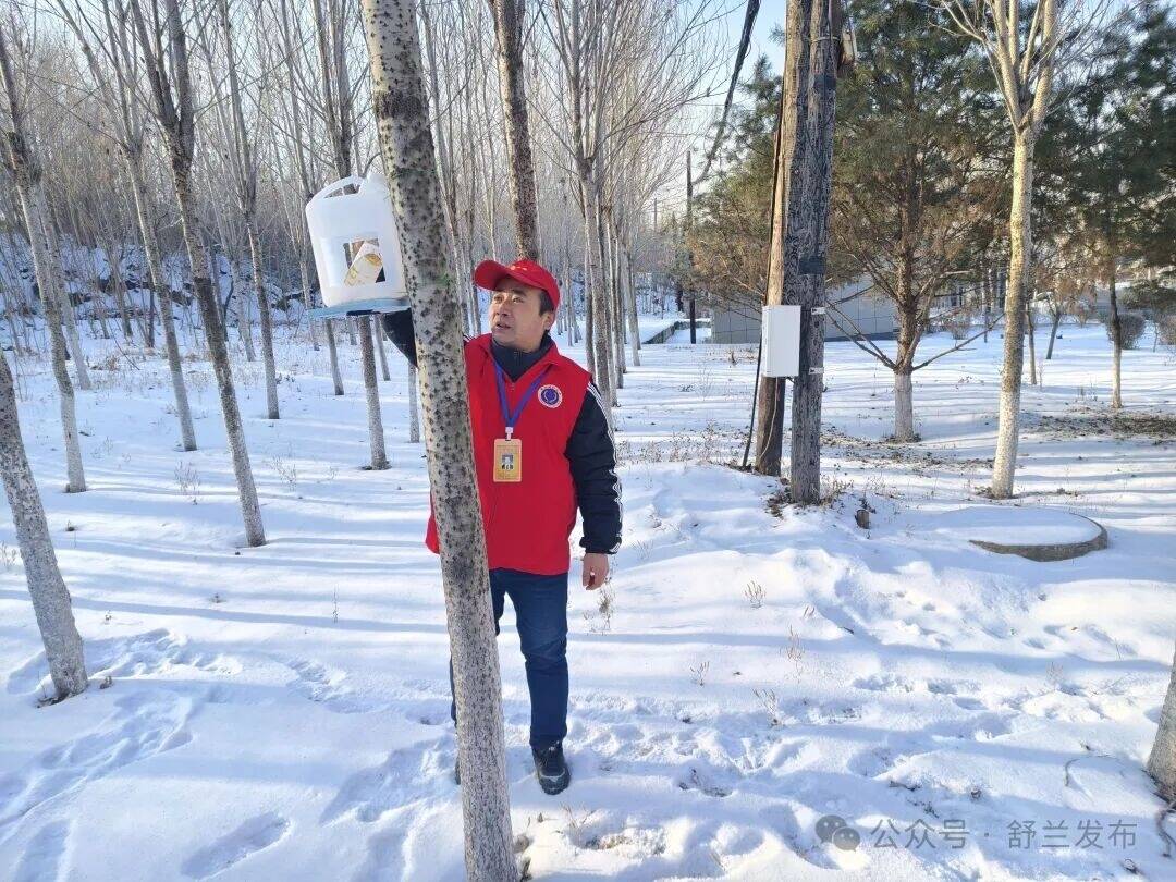 舒兰：志愿力量守护林间精灵