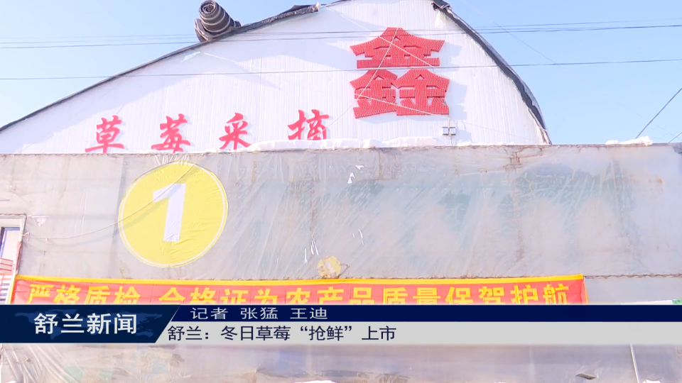 舒兰：冬日草莓&ldquo;抢鲜&rdquo;上市