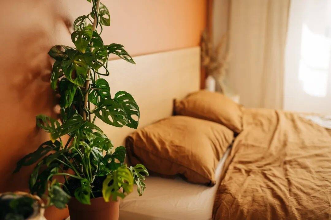 &ldquo;秒睡&rdquo;&ne;&ldquo;睡眠好&rdquo;！出现这种情况，可能是身体在报警