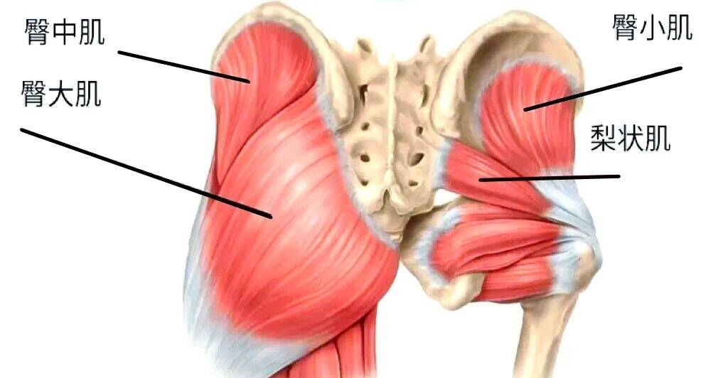&ldquo;屁股形状&rdquo;能预测糖尿病，这种臀形风险高