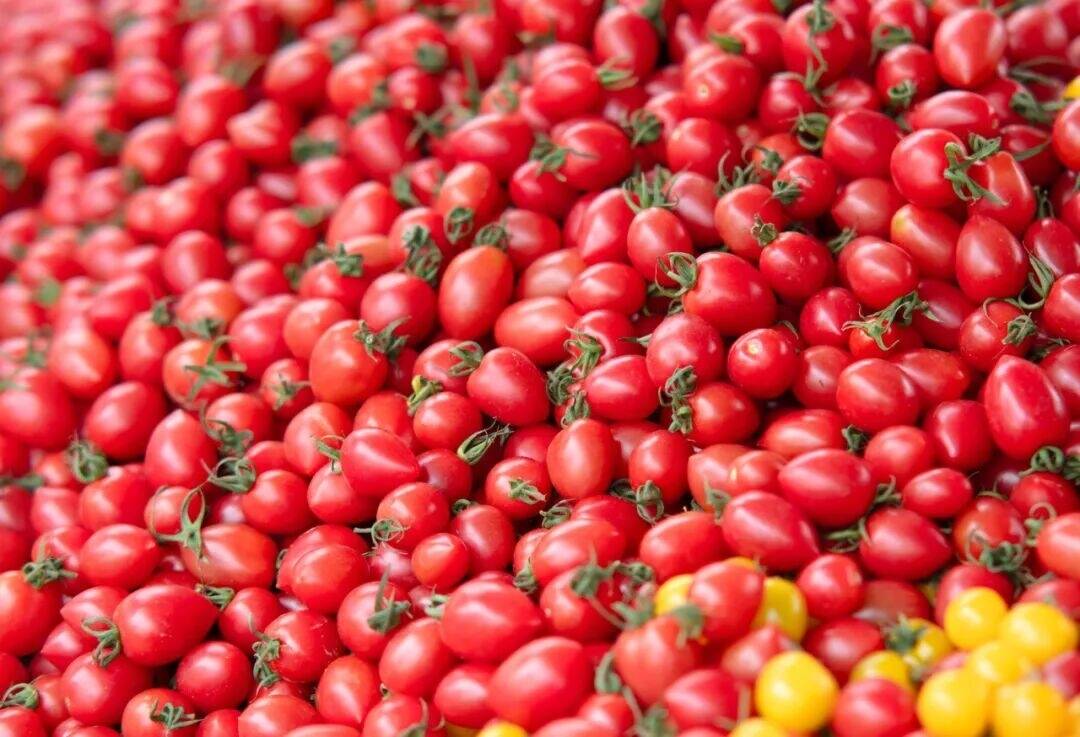 &ldquo;天选减肥果&rdquo;竟是它！低卡高纤还美味，多吃不怕胖