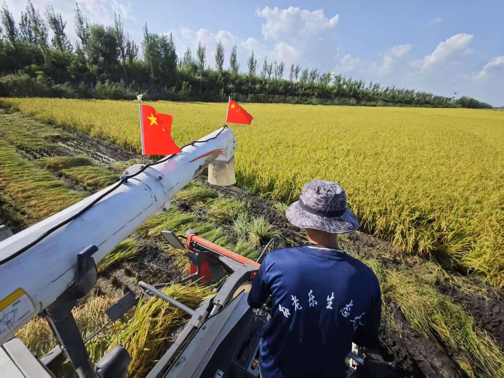 美丽舒兰&middot;筑梦辉煌