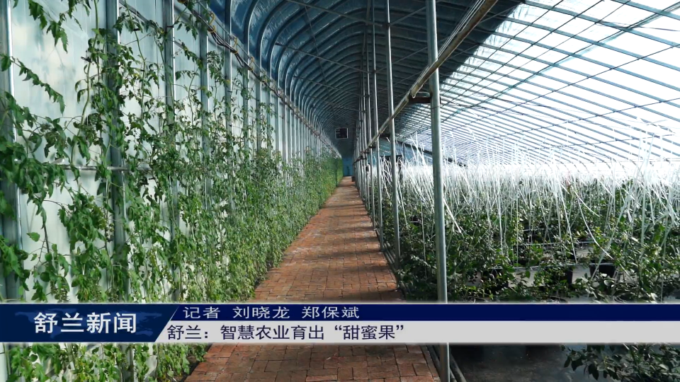 新春走基层丨舒兰：智慧农业育出&ldquo;甜蜜果&rdquo;