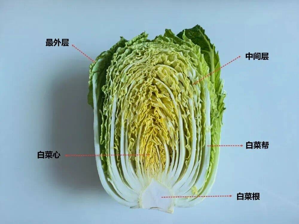 真的想问：北方人囤的几百斤白菜，吃完了吗？