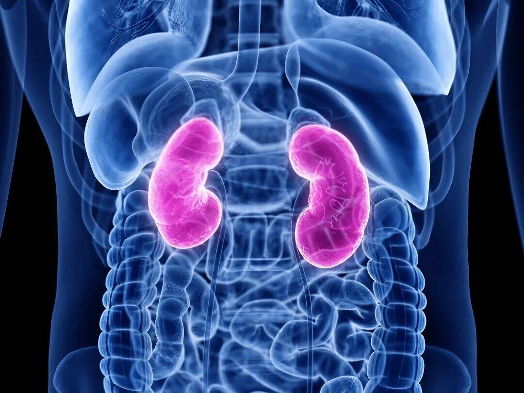 这类病不疼不痒，却能一步步榨干你的肾！出现这些征兆一定要重视