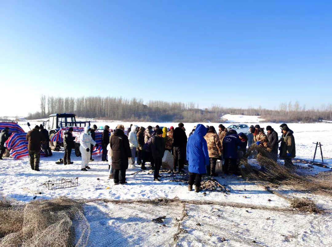 2026新春走基层丨舒兰：新春鱼满舱 冬捕庆丰年