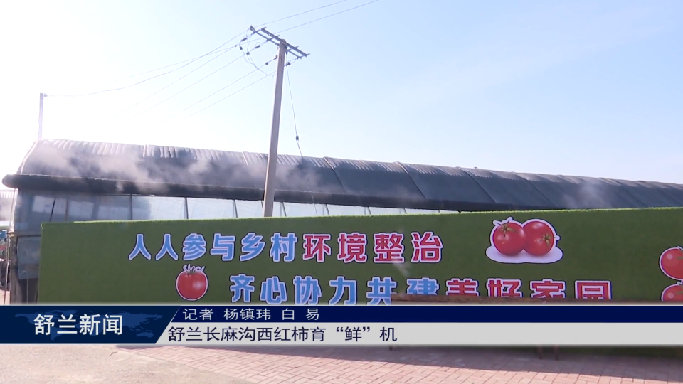 2026新春走基层丨舒兰长麻沟西红柿育&ldquo;鲜&rdquo;机