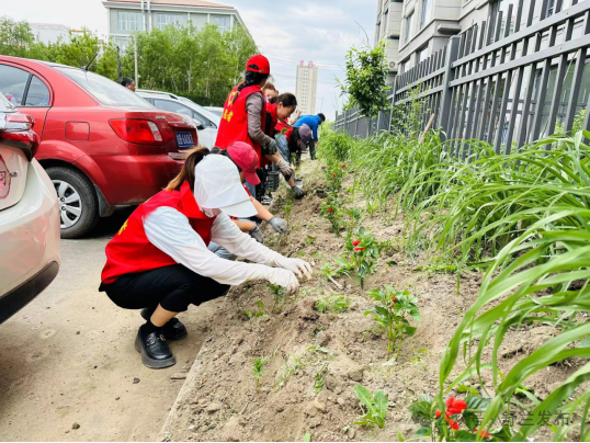 新舒兰&middot; &ldquo;她&rdquo;故事丨王琼：花开&ldquo;凤凰城&rdquo; 情暖百姓家