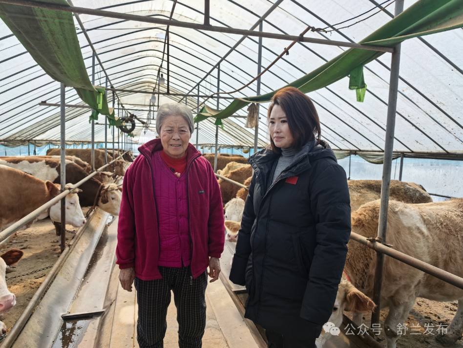 新舒兰&middot; &ldquo;她&rdquo;故事丨刘阳：带领村民过上&ldquo;牛&rdquo;日子