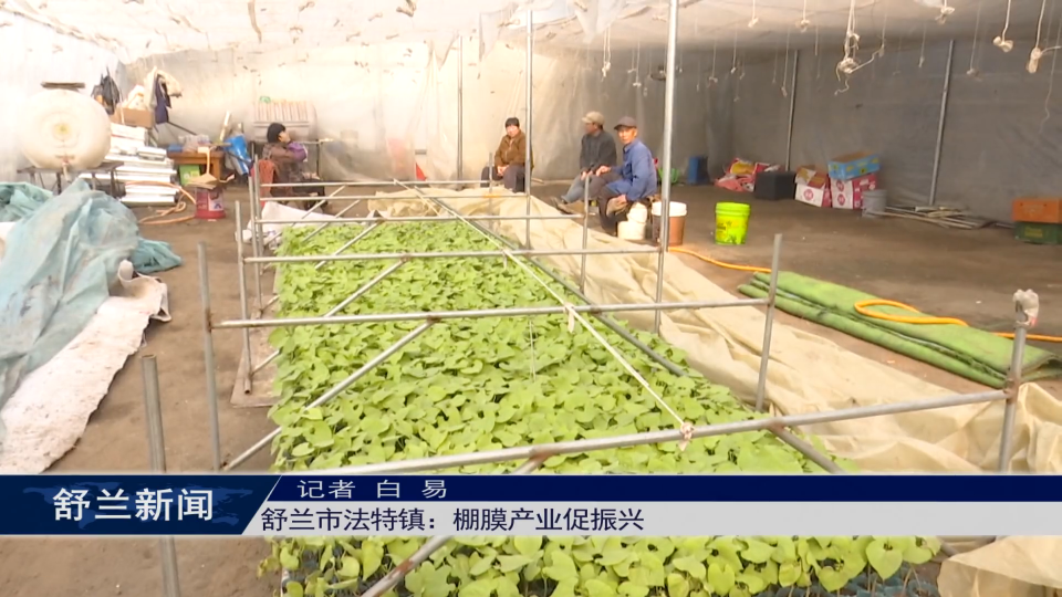 舒兰市法特镇：棚膜产业促振兴