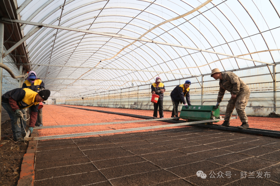 舒兰学明水稻种植家庭农场率先开展水稻播种