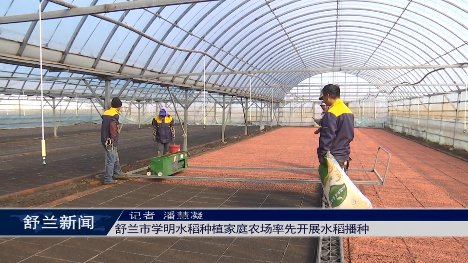 舒兰市学明水稻种植家庭农场率先开展水稻播种
